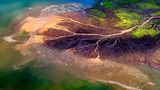 Flamingos am Lake Bogoria