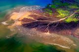 Flamingos am Lake Bogoria