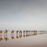Salztransport am Lake Asale