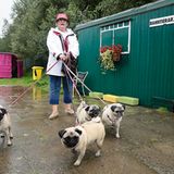 Mopsrennen: Fotogalerie: Die absoluten Renner - Bild 2