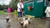 Mopsrennen: Fotogalerie: Die absoluten Renner - Bild 2