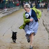 Mopsrennen: Fotogalerie: Die absoluten Renner - Bild 5