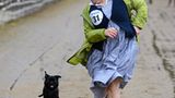 Mopsrennen: Fotogalerie: Die absoluten Renner - Bild 5