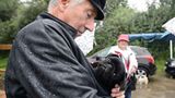 Mopsrennen: Fotogalerie: Die absoluten Renner - Bild 7