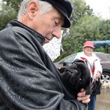 Mopsrennen: Fotogalerie: Die absoluten Renner - Bild 7