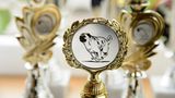 Mopsrennen: Fotogalerie: Die absoluten Renner - Bild 8