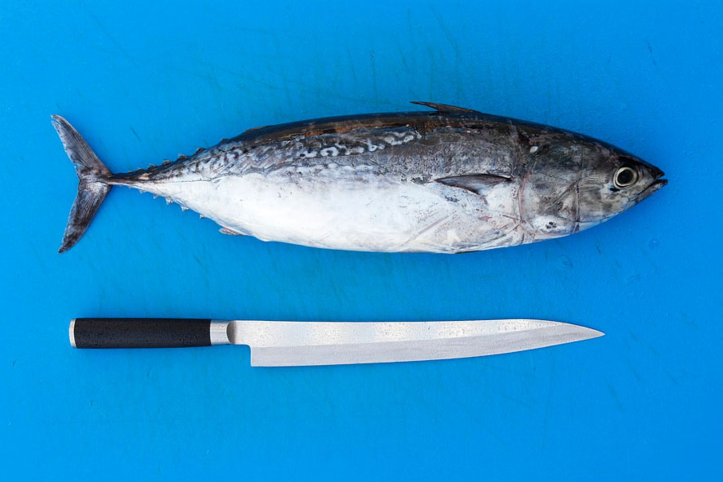 Seltener Fisch