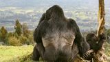 Mensch vs. Natur