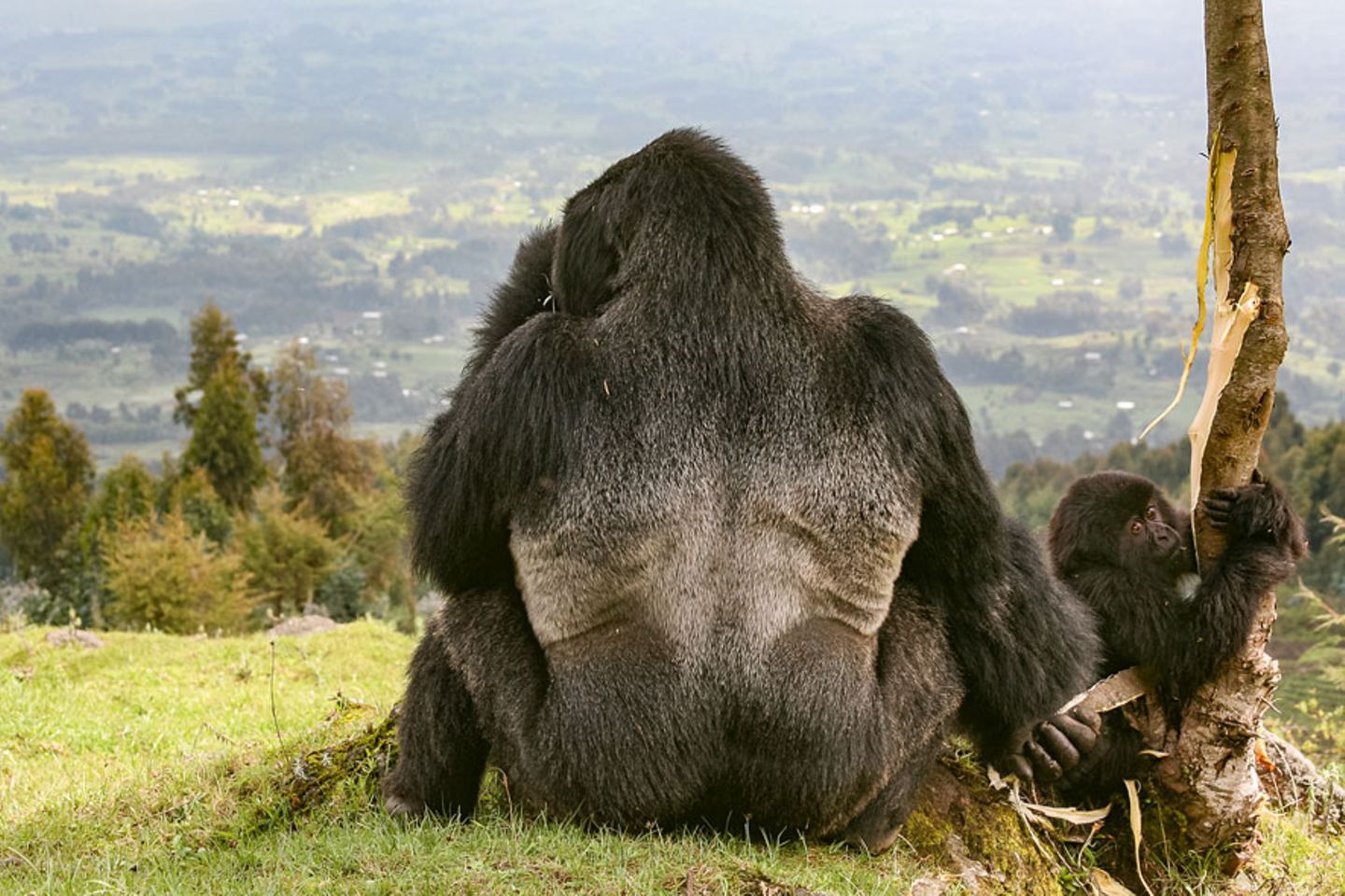 Mensch vs. Natur