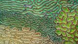 Farben und Muster