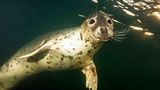 Entspannt im Wasser