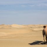 GEO Leserfoto: Die besten Leserfotos: Dezember 2015 - Bild 3