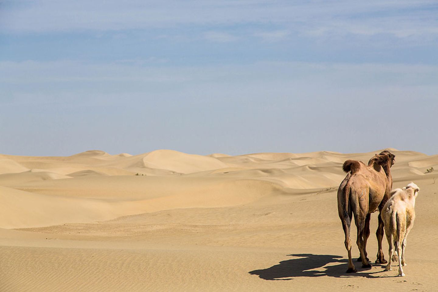 GEO Leserfoto: Die besten Leserfotos: Dezember 2015 - Bild 3