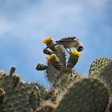 GEO Leserfoto: Die besten Leserfotos: Dezember 2015 - Bild 5