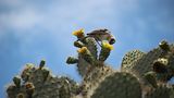 GEO Leserfoto: Die besten Leserfotos: Dezember 2015 - Bild 5