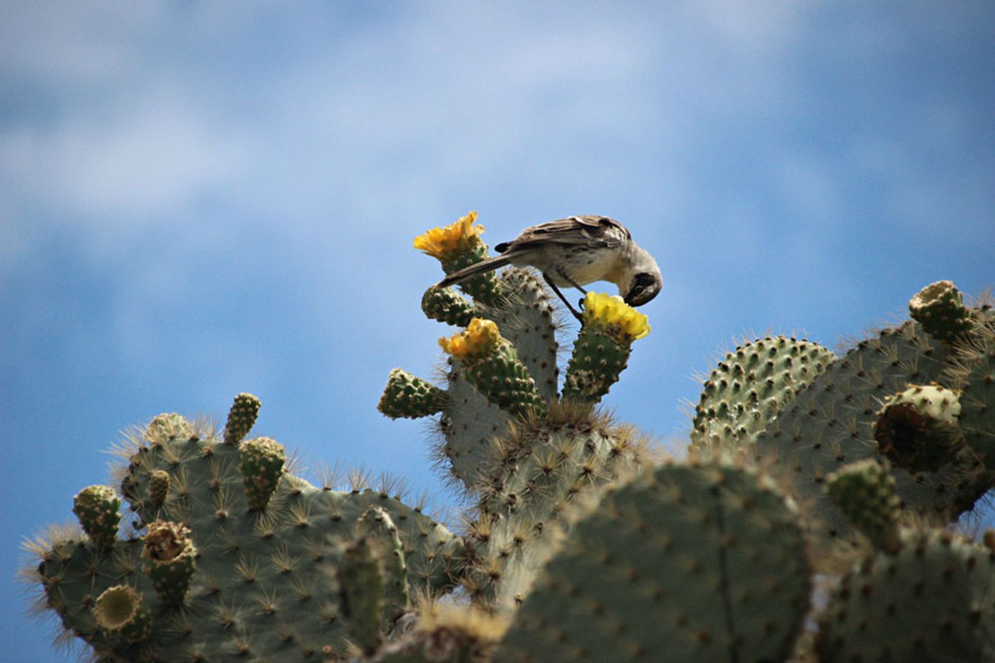 GEO Leserfoto: Die besten Leserfotos: Dezember 2015 - Bild 5