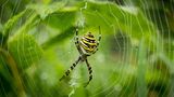GEO Leserfoto: Die besten Leserfotos: Dezember 2015 - Bild 7