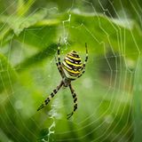 GEO Leserfoto: Die besten Leserfotos: Dezember 2015 - Bild 7