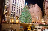 Den berühmtesten Weihnachtsbaum der Welt bestaunen