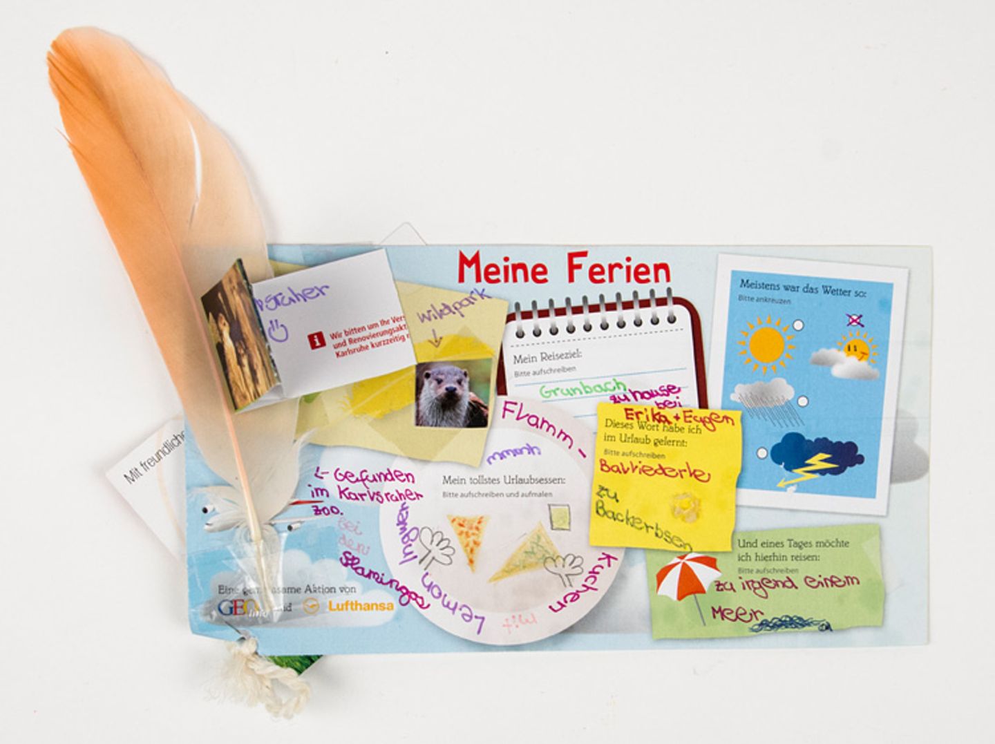 Meine Ferien: Postkartenaktion: Die Gewinner
