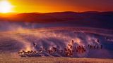 A Moment in Light, Commended, Cai Zhiping