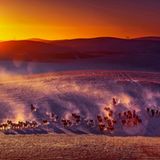 A Moment in Light, Commended, Cai Zhiping