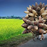 Faces, People, Encounters, Special Mention, Ly Hoang Long