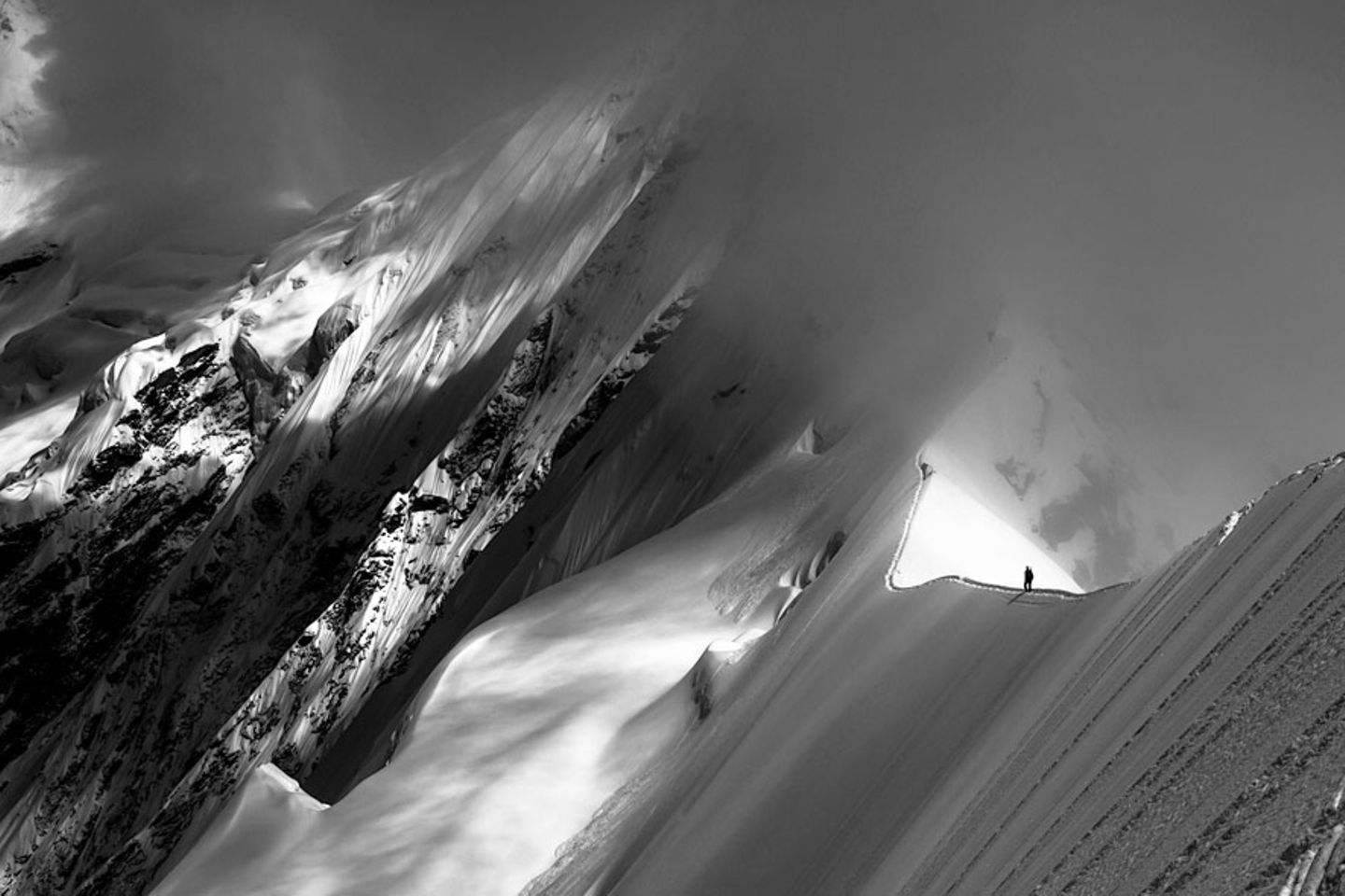 A Moment in Light, Highly Commended, Tim Taylor