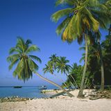 Trendreiseziel 2016: Malediven