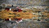 Norwegen Hausspiegel