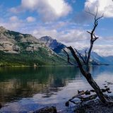 Waterton