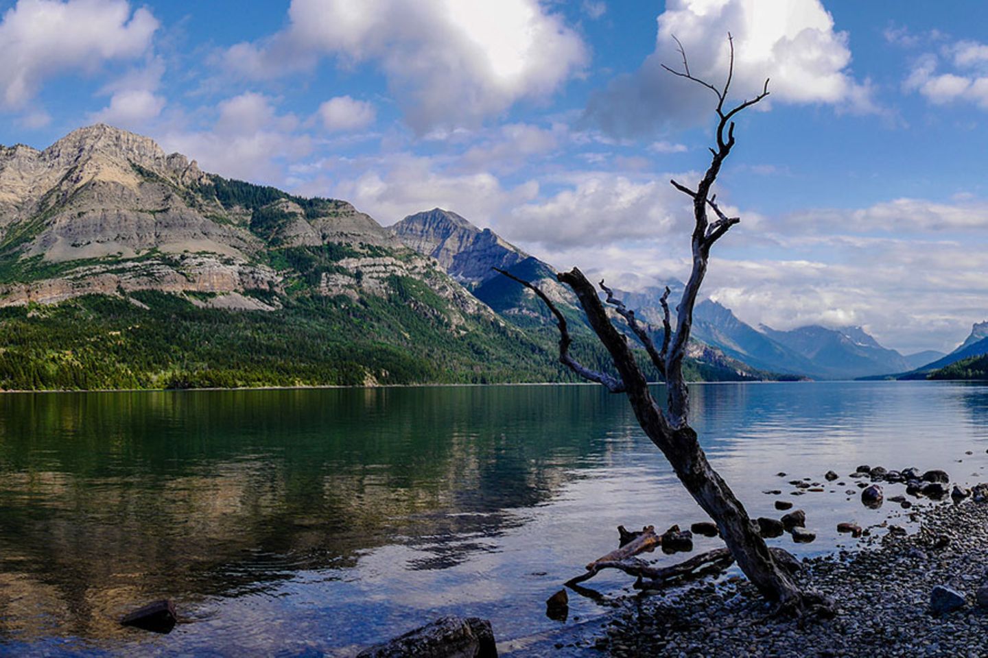 Waterton