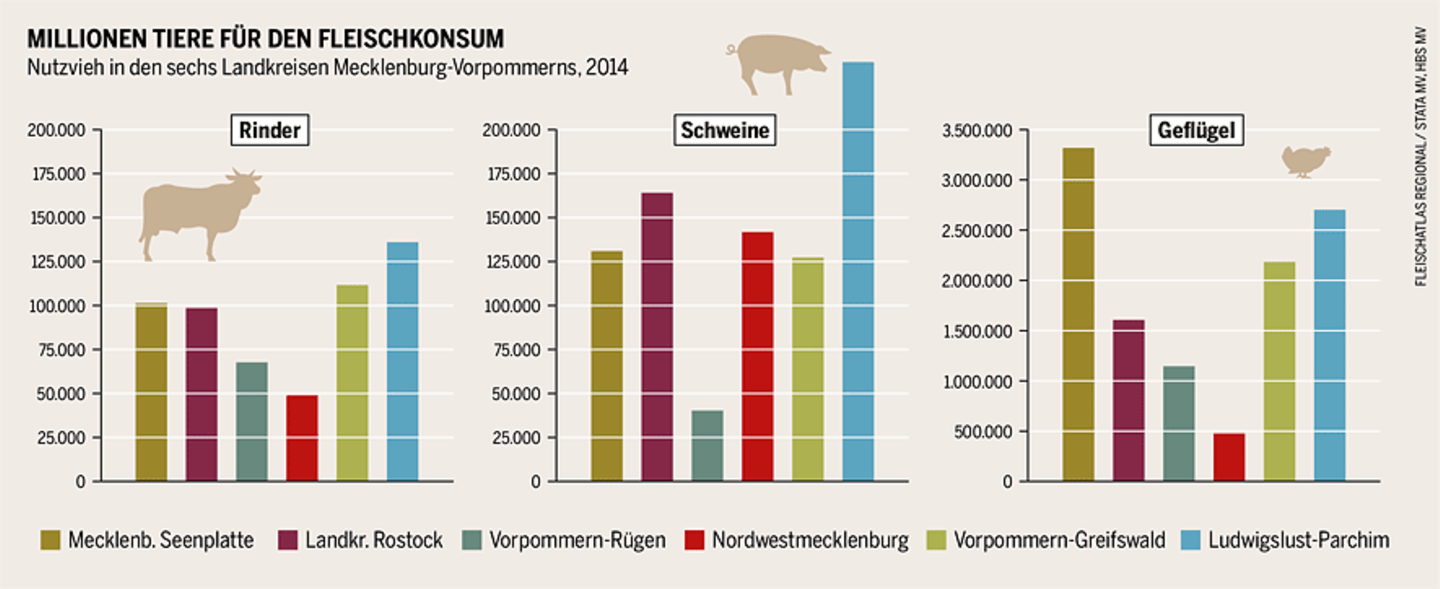 Tierhaltung in Mecklenburg-Vorpommern