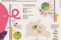 Bremen, Berlin, Hamburg