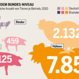 Megaställe boomen in Brandenburg