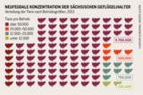 Konzentration in Sachsen