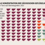 Konzentration in Sachsen