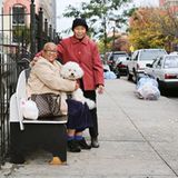 Humans of New York, 12. Story