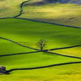 Yorkshire Dales