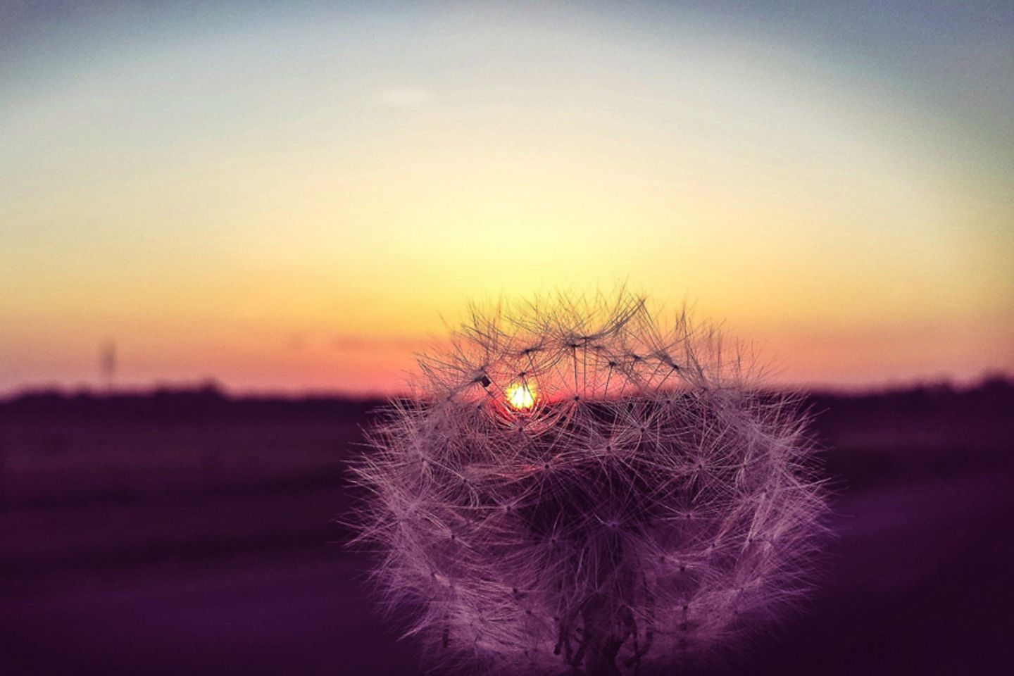 GEO Leserfoto: Die besten Leserfotos: Februar 2016 - Bild 4