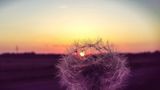 GEO Leserfoto: Die besten Leserfotos: Februar 2016 - Bild 4