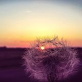 GEO Leserfoto: Die besten Leserfotos: Februar 2016 - Bild 4