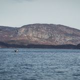 Ein Gänsehaut-Erlebnis