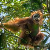 Kategorie Natur: Erster Preis Geschichten