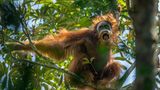 Kategorie Natur: Erster Preis Geschichten