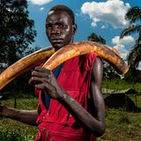 Kategorie Natur: Zweiter Preis Geschichten