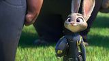 Film: DVD-Tipp: ZOOMANIA - Bild 8