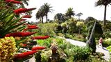 Tresco Abbey Gardens