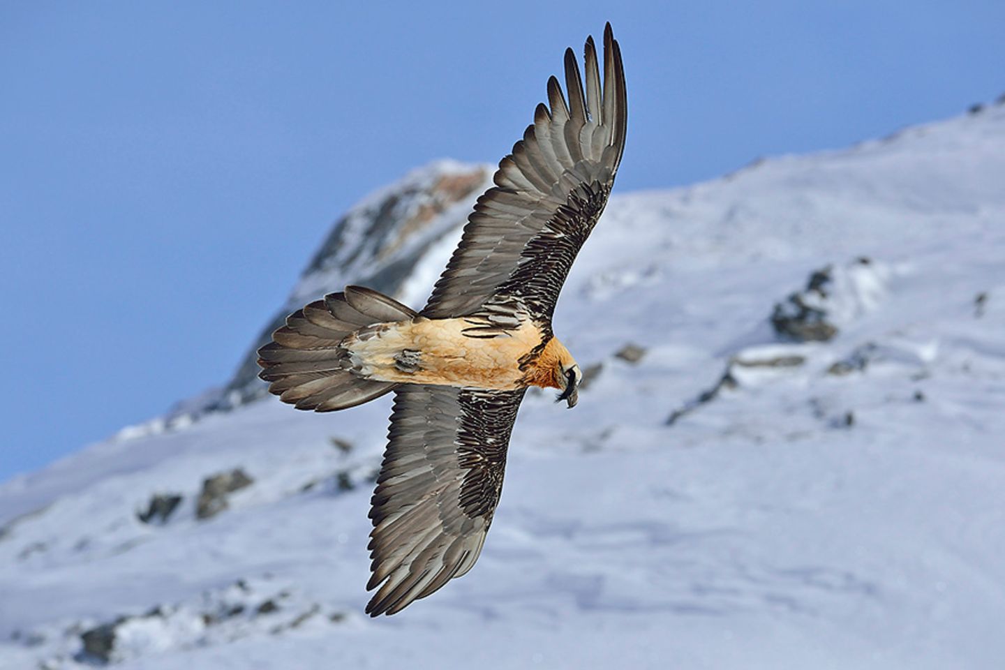 GEO Leserfoto: Die besten Leserfotos: März 2016 - Bild 9