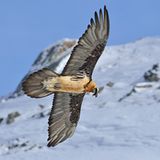 GEO Leserfoto: Die besten Leserfotos: März 2016 - Bild 9